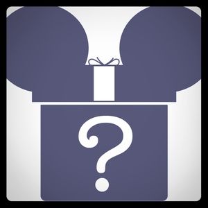 Disney mystery box